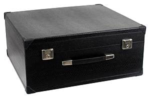  Alpenklang Akkordeon-Koffer 120 Bass, 