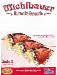 Harmonika Ensemble 1 Stufe b