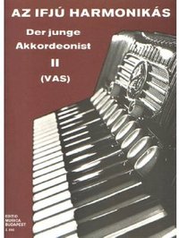 Der junge Akkordeonist 2
