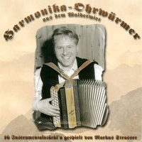 Harmonika Ohrwürmer - Markus Strasser